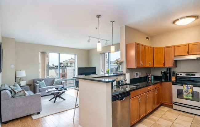 52 W Broadway, Unit 225 in Boston, MA - Building Photo - Building Photo