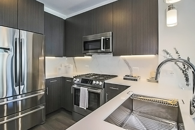 455 N Park Dr in Chicago, IL - Building Photo - Building Photo