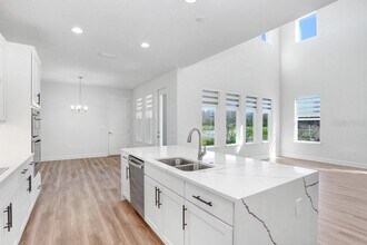28793 Sweet Persimmon Dr in Wesley Chapel, FL - Building Photo - Building Photo