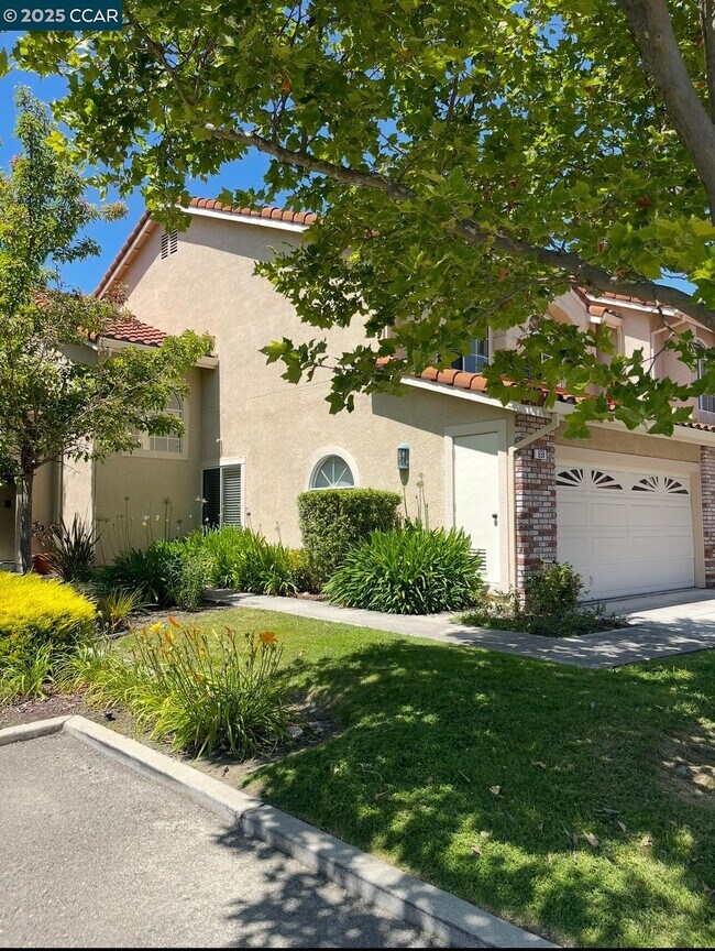 658 S Blackbrush Ln in San Ramon, CA - Building Photo - Building Photo