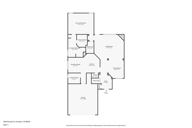 1043 Averett Cove in Cordova, TN - Building Photo - Building Photo