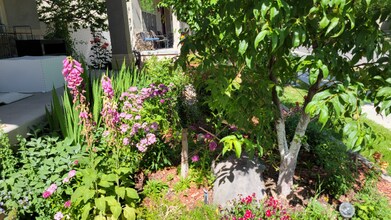 807 Whisper Cove Rd in Sandy, UT - Building Photo - Building Photo