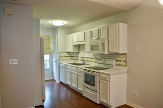 1511 Willoughby Pk Ct in Wilmington, NC - Building Photo - Building Photo