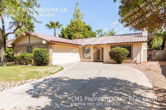 966 E Morningstar Ln in Tempe, AZ - Building Photo - Building Photo