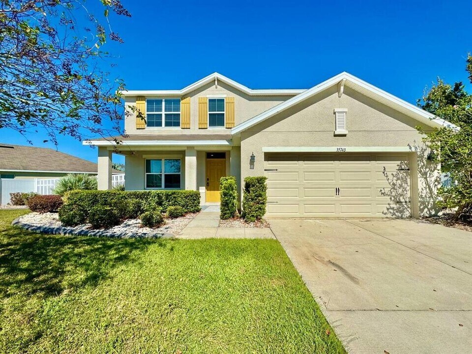 35743 Hillbrook Ave in Zephyrhills, FL - Building Photo
