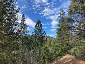 1170 Peninsula Dr in Lake Arrowhead, CA - Building Photo - Building Photo