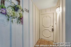 168 Barilla Pl in San Antonio, TX - Building Photo - Building Photo