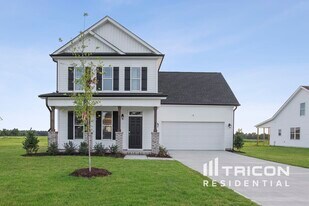 49 Fish Whistle Ct in Benson, NC - Building Photo