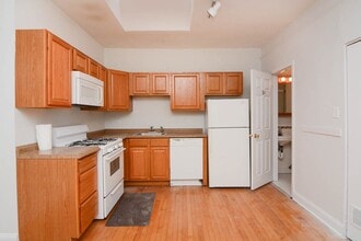 1009 N Sacramento Ave, Unit M04H in Chicago, IL - Building Photo - Building Photo