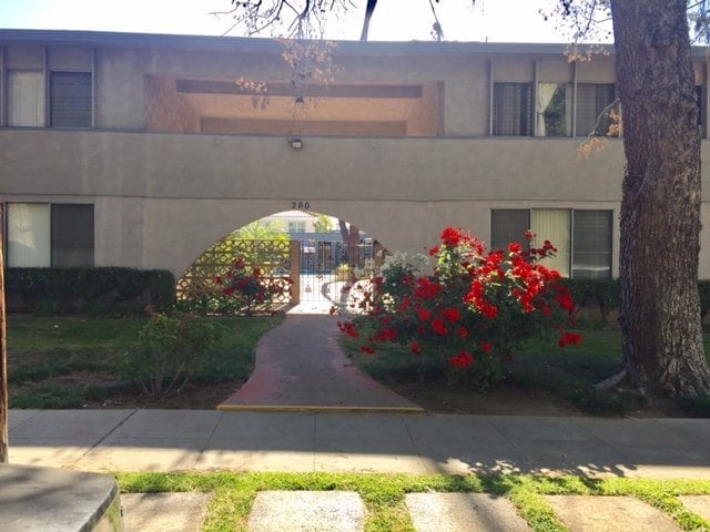 260 N Oak Ave, Unit 12 in Pasadena, CA - Foto de edificio - Building Photo