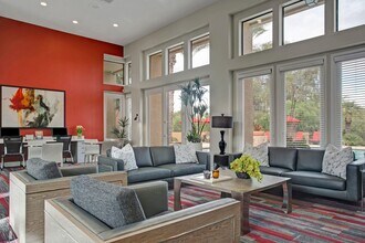 Mirador in Phoenix, AZ - Building Photo - Building Photo