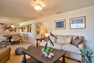 Tampa Woods in Tampa, FL - Building Photo - Building Photo