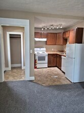 136 N Mantua St in Kent, OH - Building Photo - Building Photo