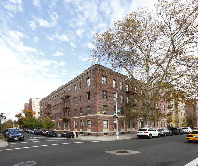 Dora Court in Brooklyn, NY - Building Photo - Building Photo