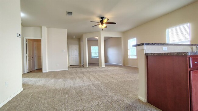 13601 Coomer Path in Pflugerville, TX - Building Photo - Building Photo