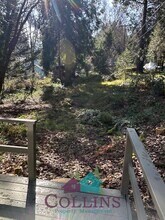 318 Nile St in Nevada City, CA - Building Photo - Building Photo