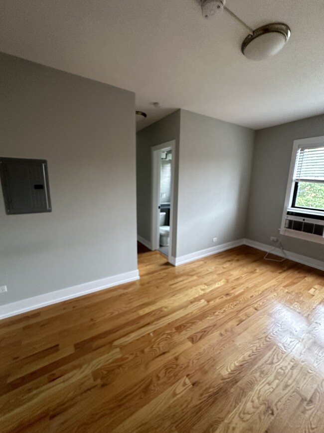 910 W George St, Unit 1 in Chicago, IL - Foto de edificio - Building Photo