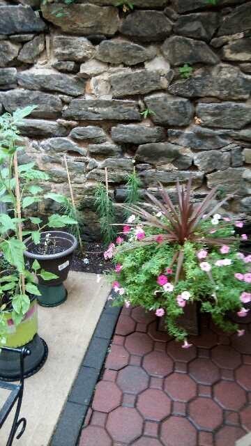 33 Bradhurst Ave-Unit -#3 in New York, NY - Building Photo - Building Photo