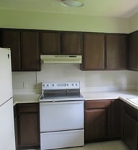 2439 Clearview Ave in Fort Collins, CO - Building Photo - Building Photo