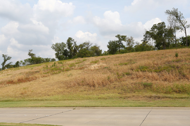 Austin Oaks in The Colony, TX - Building Photo - Building Photo