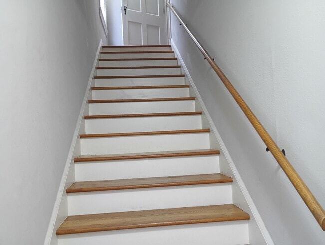 109 W Norwood Ct in San Antonio, TX - Building Photo - Building Photo