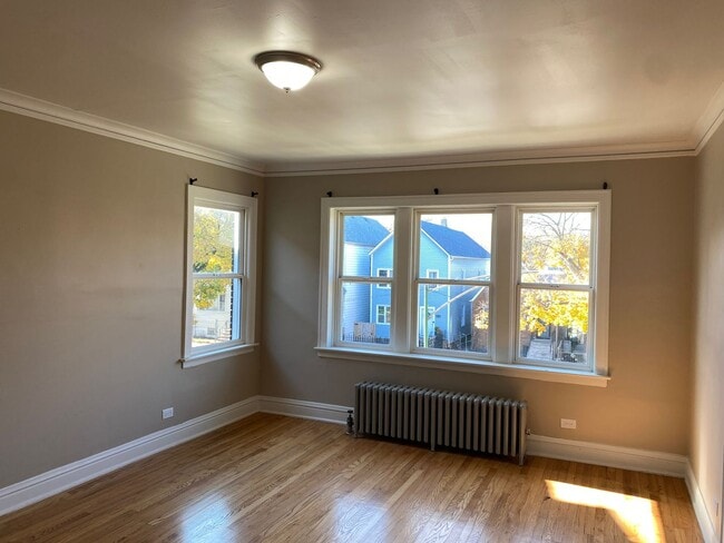 8707 S Manistee Ave in Chicago, IL - Foto de edificio - Building Photo