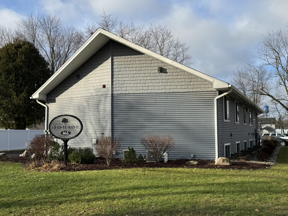 465 Burch St, Unit Burch Tree Apartments in Grand Ledge, MI - Foto de edificio