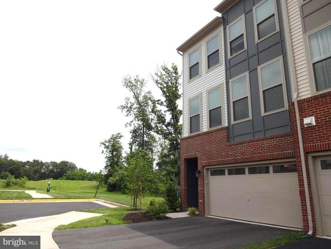42462 Dogwood Glen Square in Sterling, VA - Building Photo - Building Photo