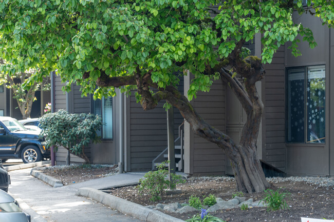 Cedar Mills in Kirkland, WA - Building Photo - Building Photo