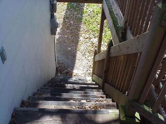 414 Hohldale St-Unit -GarApt in Houston, TX - Building Photo - Building Photo
