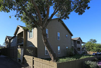 7745 Stalmer St in San Diego, CA - Building Photo - Building Photo