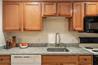 41 Walnut St, Unit 5 in Waltham, MA - Building Photo - Building Photo