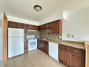 1004 S River Rd in Des Plaines, IL - Building Photo - Building Photo