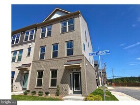 43800 Mystic Maroon Ter in Ashburn, VA - Building Photo