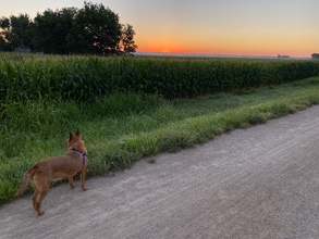 246 N 8th St in Lawrence, KS - Building Photo - Building Photo