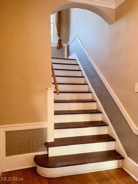 517 Aqueduct St in Akron, OH - Building Photo - Building Photo