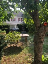 84 Thorndike St, Unit B in Cambridge, MA - Building Photo