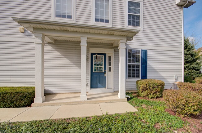 355 Grape Vine Trail in Oswego, IL - Building Photo - Building Photo