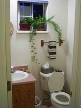 346 S Elm St in Cortez, CO - Building Photo - Building Photo