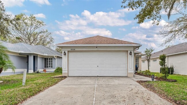 18104 Canal Pointe St in Tampa, FL - Building Photo - Building Photo