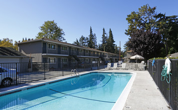 The Villa Apartments in San Jose, CA - Building Photo - Building Photo