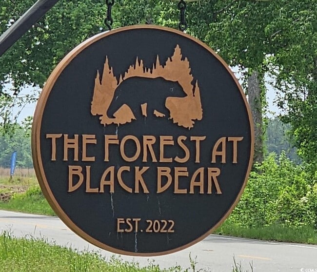 170 Honey Jar Wy in Longs, SC - Building Photo - Building Photo