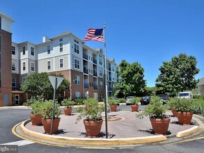3810 Lightfoot St, Unit 310 in Chantilly, VA - Building Photo - Building Photo