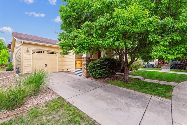 1038 Village Cir in Erie, CO - Building Photo - Building Photo