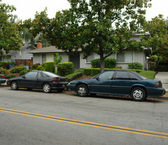 911 Tamarack Ln Apartments