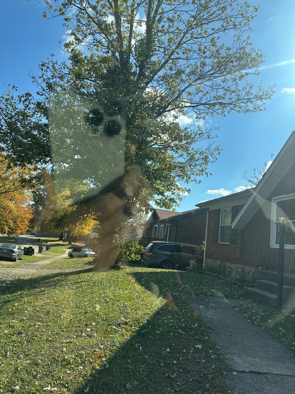 3608 Ripple Creek Dr in Louisville, KY - Building Photo - Building Photo