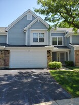 179 Holmes Way in Schaumburg, IL - Building Photo