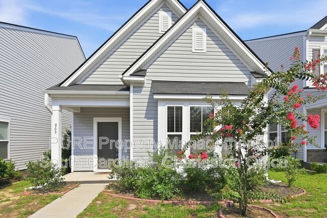 property at 803 Lachicotte Creek Dr