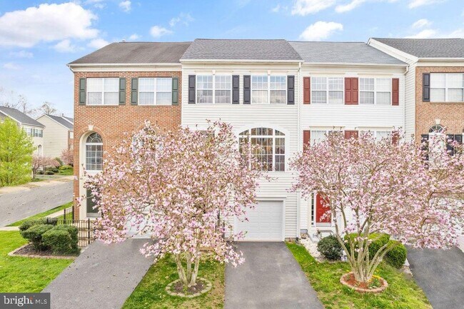 10136 Pale Rose Loop in Bristow, VA - Building Photo - Building Photo