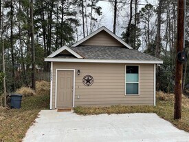 16888 W Ivanhoe St in Montgomery, TX - Building Photo